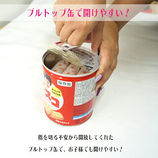長期5年保存 ビスコ保存缶