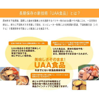 長期5年保存 美味しい防災食 ハンバーグ煮込み