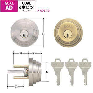 GOAL S[   ADp V_[ փhA   6s AD-5 D GG GK GGP GGX GKS TDD Vo[ S[h GCY-100 GCY-101