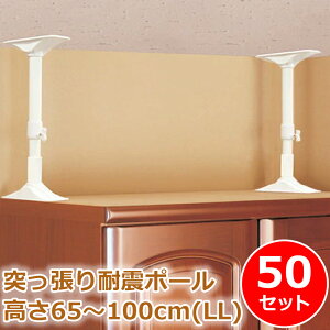 ϐk ˂_ Ƌ]|h~ HI 100cm ω׏d200kg ʂŎx F LLTCY 2{Zbg REQ-65 1 10 20 30 50