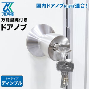 hAmu t   C փhA bN K[J[ ALPHA At@ DIY gXe  O fBvL[^Cv D36KN-TRW-32D-1 L[5{