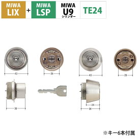 MIWA 美和ロック 玄関ドア 鍵 交換 自分で U9シリンダー LIX+LSP PE01 TE01 LE01 2個同一キー ST色 MCY-403