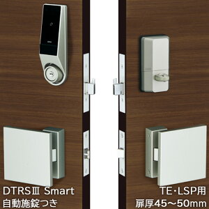 X}[gbN t { I[gbN dC փhA abN miwa DTRS3smart 1bN DTRS3D01TE Jo[Ȃ