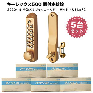 L[bNX500 ʕt{S^Cv 22204-9 ⏕  t  Ïؔԍ eL[ L[X ^bNVo[ Ao[ S[h 1 3 5