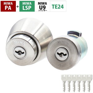 MIWA abN PA LSP U9V_[    փhA  }V LAMA TESP TE-01 TE-02 TE-06 2 MCY-410 Vo[ STF L[6{t