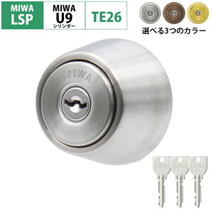 MIWA ���a���b�N LSP�^�C�v U9 �V�����_�[�� �� ���� ������ DIY �}���V���� ���փh�A LE-11 TE-01 TE-02 GAE PESP LZSP TE26 �V���o�[ MCY-141 �u�����Y MCY-142 �S�[���h