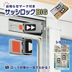 m点}[NtTbVbNBIG ⏕  TbV h Xgbp[ bN ̃JM  hƃObY ȒPt  q ]h~ h~ x_ uY Vo[ N-1109 N-1110