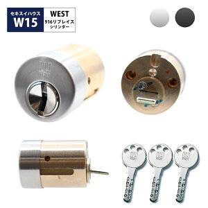 WEST EGXg ZLXCnEX   փhA fBv^Cv 916vCXV_[ O W15(PPA4) Vo[ ubN