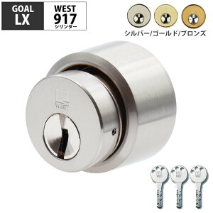 GOAL S[   LXp փhA }V WEST vCXV_[917 fBv AS LX EX GC-LX HD LD LDK LG LGK LH PL PLK SAK Vo[ S[h uY