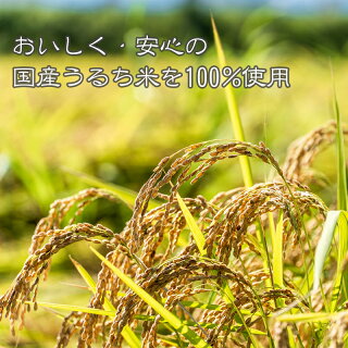 5年保存 マジックライス 9種 お試し用コンプリートセット