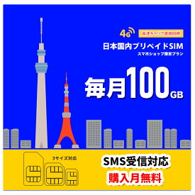 【超大容量】 毎月 100GB プリペイド SIM ［3/6/12ヶ月］ 利用期限延長可能 購入月月額無料 ［リチャージ長期割引有］ SMS受信対応 キャリア直回線 日本 Japan Prepaid SIM card 4G LTE対応 テレワーク 当日発送 物理プリペイドSIM