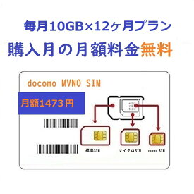 「購入月無料+12ヶ月」毎月10GB プリペイドSIMカード Docomo回線 日本高速データ通信 Japan Prepaid SIM card LTE対応 利用期限延長可能 テザリング可能 サブ機 契約不要 車載用 1年間