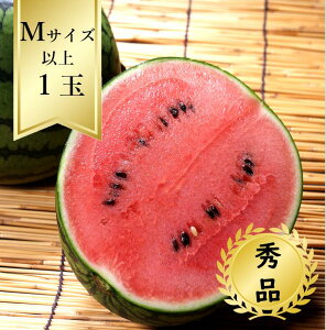 yz MTCYȏ1 Gi R8Nxs\񏤕i