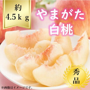 【送料無料】山形県産白桃サイズおまかせ約4.5kg　秀品R5年度先行予約商品