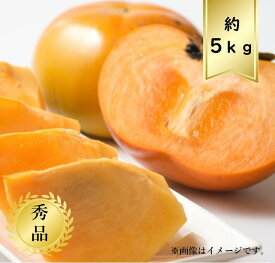 【送料無料】柿 サイズおまかせ約5kg 秀品R8年度先行予約商品
