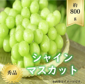 山形県産 シャインマスカットの人気商品 通販 価格比較 価格 Com 山形県産 シャインマスカットの人気商品 通販 価格比較 価格 Com