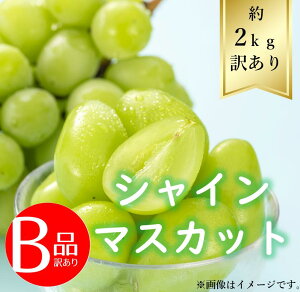 山形県産 シャインマスカットの人気商品 通販 価格比較 価格 Com