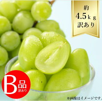 楽天市場】シャインマスカット 訳あり（総重量（果物）4.00 ～ 4.99kg 