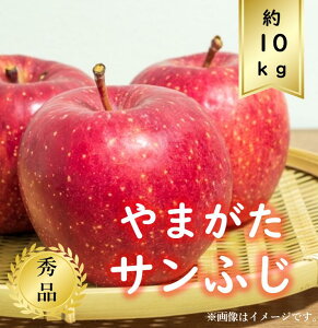 【送料無料】山形県産サンふじりんごサイズおまかせ約10kg　秀品先行予約商品