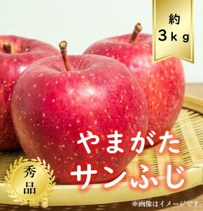 【送料無料】山形県産サンふじりんごサイズおまかせ約3kg　秀品先行予約商品