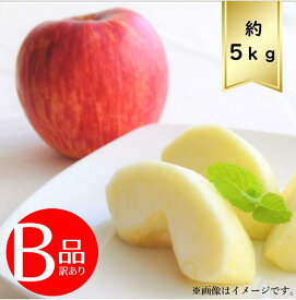 【送料無料】サンふじりんごサイズおまかせ約5kg B品 訳ありR6年度先行予約商品