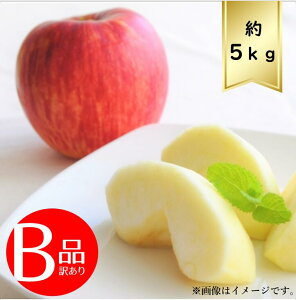 yzTӂ񂲃TCY܂5kg Bi 󂠂R7Nxs\񏤕i