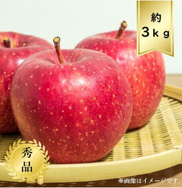 【送料無料】サンふじりんごサイズおまかせ約3kg 秀品R8年度先行予約商品