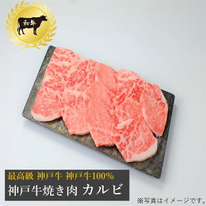 【送料無料】【最高級　神戸牛】神戸牛100％焼き肉「カルビ」（バラ）400g