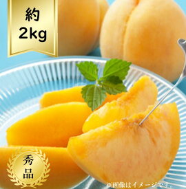 【送料無料】黄桃約2kg 秀品R8年度先行予約商品