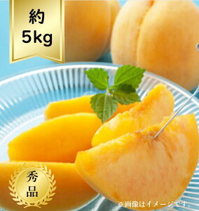 �y���������z������5kg �G�iR8�N�x��s�\�񏤕i