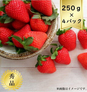 yzR`Y@ƂߐS 250g×4pbN GiR8Nxs\񏤕i