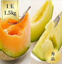 【送料無料】メロン 品種おまかせ 1玉 秀品R8年度先行予約商品