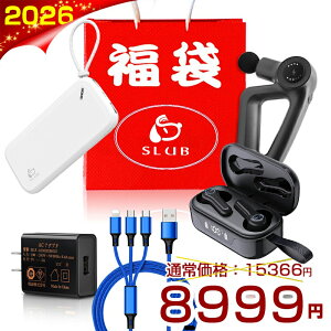 「2021 新春福袋」超お得な5点セット 筋膜リリース電動マッサージ器 アダプター ワイヤレスイヤホン モバイルバッテリー 3in1ケーブル 初売り 総額2万円超 早い者勝ち ゆうパケット 送料無料