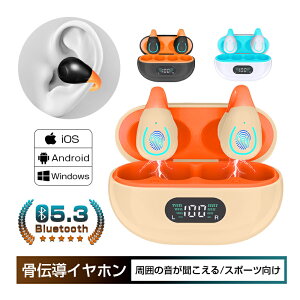 `Cz CXCz Bluetooth5.3 I[vC[ K ǂȂ ENC}CN mCYLZO HiFi yAO hho /Ў NAʘb nYt[ typ