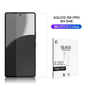 AQUOS R9 pro KXtB SHARPX}z AQUOS R9 pro SH-54E docomo hR ANIX A[iC v XN[یV[g ߗ ^ 炩 \ʍdx10H ϏՌ h~ Uh~ wy