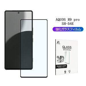 AQUOS R9 pro u[CgJbg KXtB AQUOS R9 pro SH-54E docomo hR ͕ی ANIX A[iC v XN[یV[g 3DtJo[ ߗ ^ 炩 \ʍdx10H 
