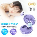 【昼夜兼用イヤホン】 寝ホン 2025年 最新型 睡眠用イヤホン ワイヤレス Bluetooth5.4 寝ながらイヤホン 軽量 超小型 カナル型 左右分離型 遮音 ノイズキャンセリング 高音質 ハンズフリー 通話可 コンパクト 耳にフィット 自動ペアリング 【PL保険加入済み製品・安心】