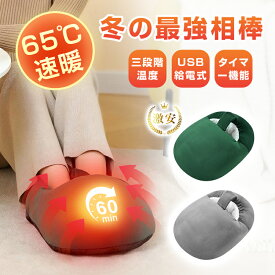 電気ウォーマ 電気足温器 3段階調整 温度切り替え USB電源式 フットヒーター 冷え症対策 足温器 お湯を使わない湯たんぽ 温活 丸洗い パーソナル暖房 グラフェン発熱 あったかアイテム 省エネ ラウンド型 寒さ対策 ギフト 90日安心保証付き【PL保険加入済み製品・安心】