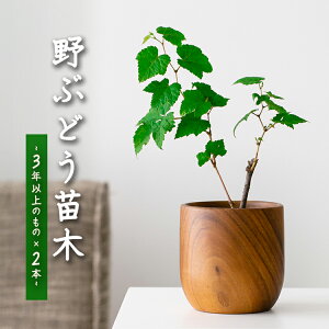 Ԃǂc؁i3Nȏ̂́j×2{