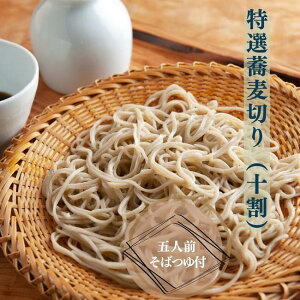 送料無料 ギフト 手打ち生そば 5人前 つゆ付 生蕎麦 なまそば 生そば 蕎麦 そば 贈り物 プレゼント 父の日 生 十割 手打ち soba きそば 手打ちそば そば粉 そばつゆ 蕎麦つゆ セット 自家製 石