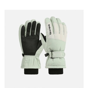 XL[O[u LbY WjA  q j̎q ̎q X}zΉ h Xm[O[u 5{w  V h oCNO[u AEghA