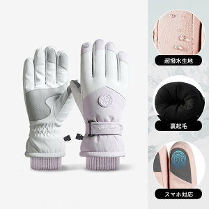 XL[O[u  fB[X Y Xm[O[u h 5{w  Xm[{[h V h X}zΉ