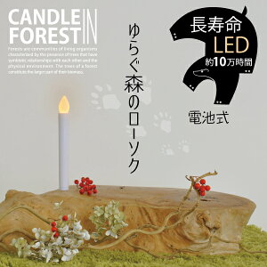 ySALE | 10%OFFzLEDLhCg dr낤 LED E\N 낤 O낤 ΂gȂ S S LED낤 Ղ _d h h LED 炬 XC d [\N 