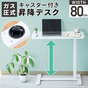 yN[|p1000~OFFz~fXN 蓮 80 s40 64-101.5cm ~ X^fBOfXN dsv pP [NfXN ׋  d ㉺~ GSm~NX 
