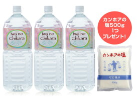 岩の力3本で塩500gプレゼント　岩の力（2L）超ミネラル水　野島式