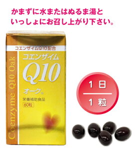 �u�r�^�~��Q�v�Ƃ��Ă΂���y�f�b�R�G���U�C��Q10