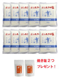 カンホアの塩500g 10個セット焼き塩2つプレゼント！ベトナムのお塩、天日塩、ミネラル豊富な塩