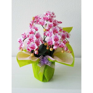 ӒSS-~jisN35cm×25cmԁEG}@A[eBtBV t[@A[gt[@a@̓@j@Mtg@v[g