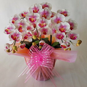 ӒS/i/3F(ԁj45cm×30cmԁEG}@A[gt[@A[eBtBVt[@tFCN@a@̓@hV̓@v[g@Mtg@bsO