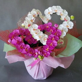 胡蝶蘭-白ピンクハート型高さ35cm×巾30cm造花・光触媒